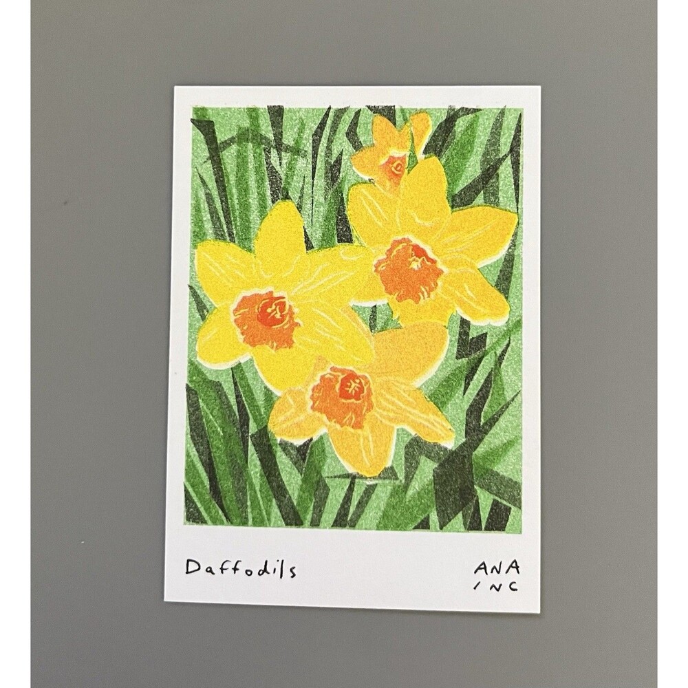 Ana Inciardi Mini Print - Daffodils